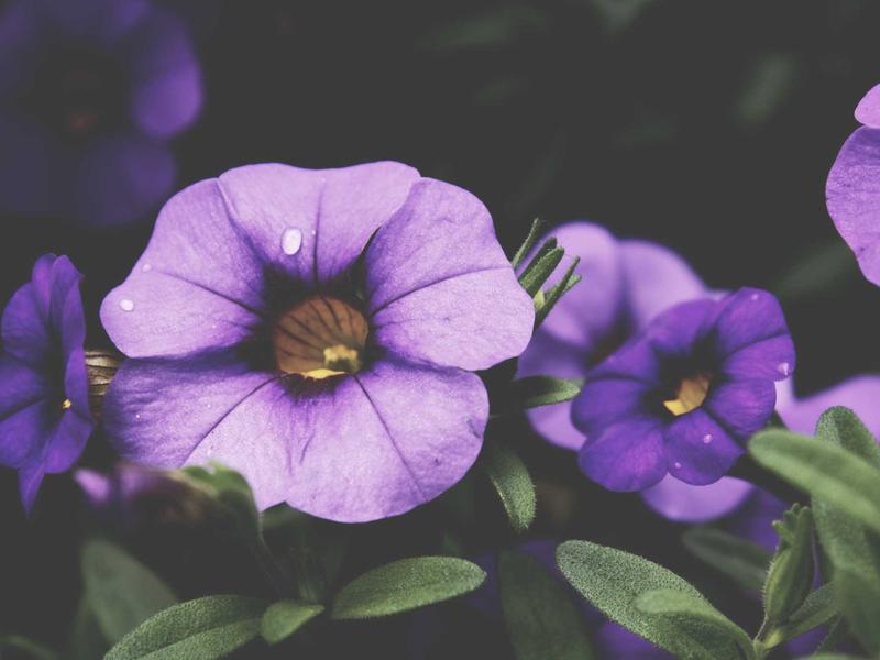 sudoku children puzzle screenshot 5